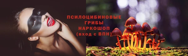 ешки Белокуриха