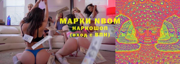 мдпв Богородск