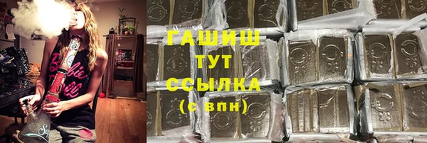 ешки Белокуриха