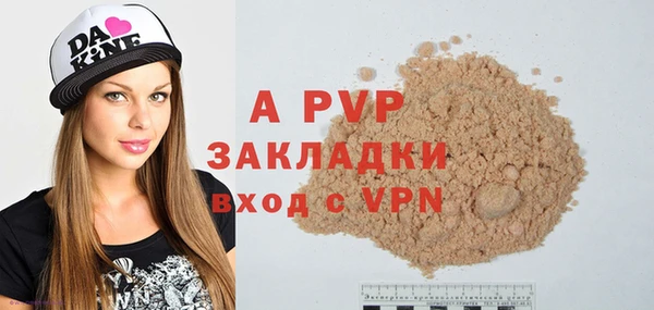 ешки Белокуриха