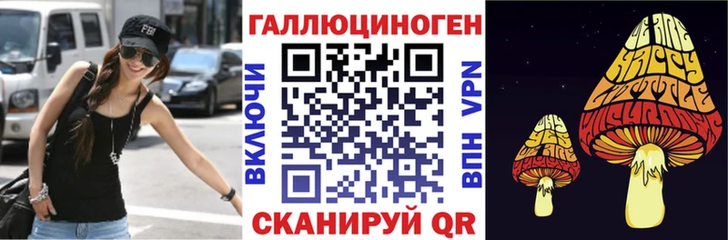 mega tor  Белокуриха  Псилоцибиновые грибы мицелий 